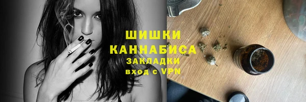 стаф Козельск