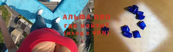 стаф Козельск