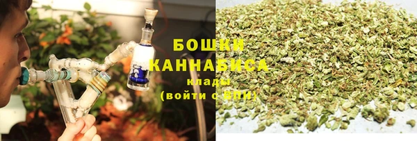 стаф Козельск