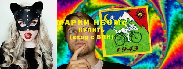 стаф Козельск