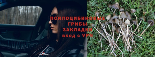 марки lsd Козловка