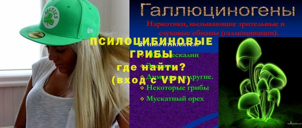 стаф Козельск